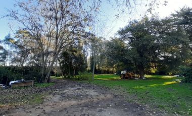 10 HECTAREAS EN VENTA EN LA PEREGRINA - CASA Y GALPON PARA RECICLAR.