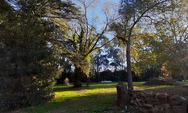 10 HECTAREAS EN VENTA EN LA PEREGRINA - CASA Y GALPON PARA RECICLAR.