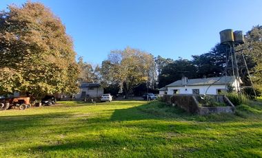 10 HECTAREAS EN VENTA EN LA PEREGRINA - CASA Y GALPON PARA RECICLAR.