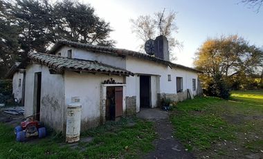10 HECTAREAS EN VENTA EN LA PEREGRINA - CASA Y GALPON PARA RECICLAR.