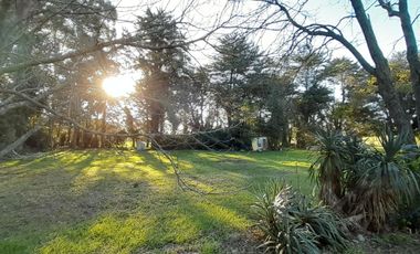 10 HECTAREAS EN VENTA EN LA PEREGRINA - CASA Y GALPON PARA RECICLAR.