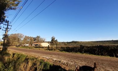 10 HECTAREAS EN VENTA EN LA PEREGRINA - CASA Y GALPON PARA RECICLAR.