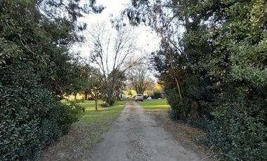 10 HECTAREAS EN VENTA EN LA PEREGRINA - CASA Y GALPON PARA RECICLAR.