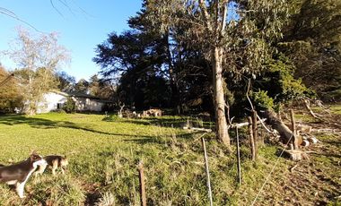 10 HECTAREAS EN VENTA EN LA PEREGRINA - CASA Y GALPON PARA RECICLAR.