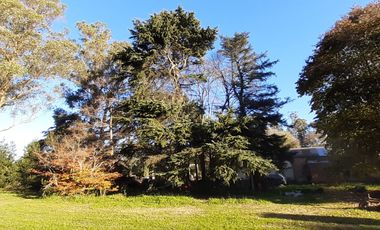 10 HECTAREAS EN VENTA EN LA PEREGRINA - CASA Y GALPON PARA RECICLAR.