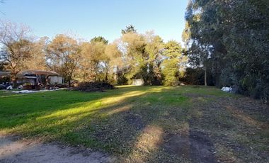10 HECTAREAS EN VENTA EN LA PEREGRINA - CASA Y GALPON PARA RECICLAR.