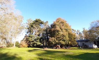 10 HECTAREAS EN VENTA EN LA PEREGRINA - CASA Y GALPON PARA RECICLAR.
