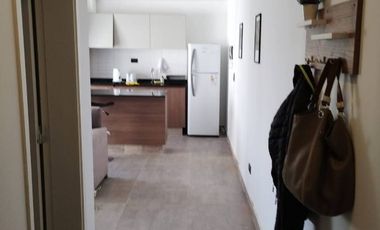 Departamento en alquiler de 1 dormitorio quinta sección