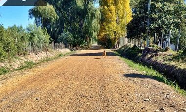 Terreno / Lote en venta de 44800m2 ubicado en Coquimbito