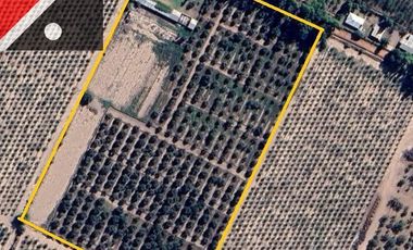 Terreno / Lote en venta de 44800m2 ubicado en Coquimbito
