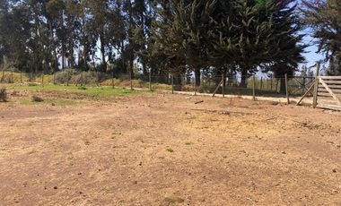 Parcela en Venta en Camino a San Manuel - Europa Poniente - Melipilla