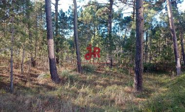 CODIGO 2010 - LOTE EN VENTA - ZONA ALAMOS PINAMAR - CON PROYECTO APROBADO