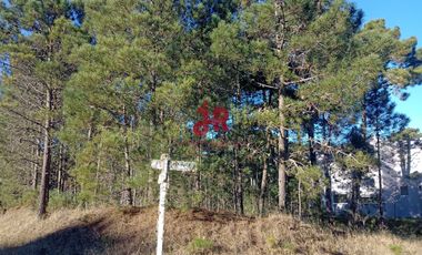 CODIGO 2010 - LOTE EN VENTA - ZONA ALAMOS PINAMAR - CON PROYECTO APROBADO