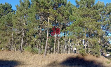 CODIGO 2010 - LOTE EN VENTA - ZONA ALAMOS PINAMAR - CON PROYECTO APROBADO