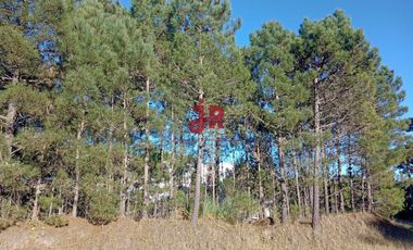 CODIGO 2010 - LOTE EN VENTA - ZONA ALAMOS PINAMAR - CON PROYECTO APROBADO