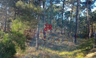 CODIGO 2010 - LOTE EN VENTA - ZONA ALAMOS PINAMAR - CON PROYECTO APROBADO