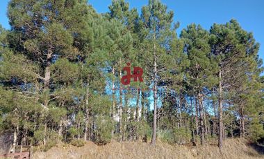 CODIGO 2010 - LOTE EN VENTA - ZONA ALAMOS PINAMAR - CON PROYECTO APROBADO