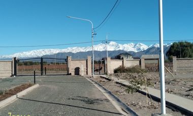 Terreno / Lote en venta de 1200m2 ubicado en Vistalba