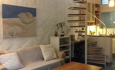 Vuelta de Obligado 142, Bajo de San Isidro - Canchero y alegre ph tipo loft
