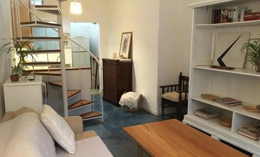 Vuelta de Obligado 142, Bajo de San Isidro - Canchero y alegre ph tipo loft