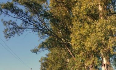 Casa quinta en venta  ubicado en  San Vicente. Acepta permuta, financiación