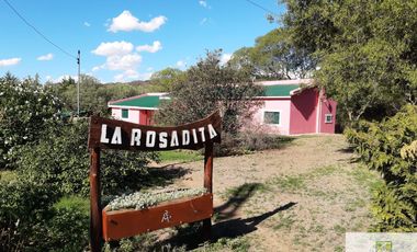 Casa en alquiler temporario de 3 dormitorios c/ cochera en Panaholma
