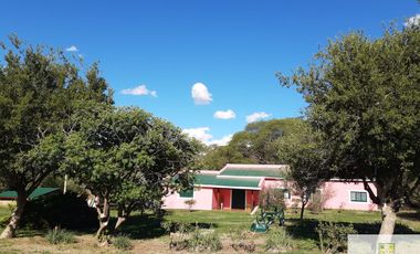 Casa en alquiler temporario de 3 dormitorios c/ cochera en Panaholma