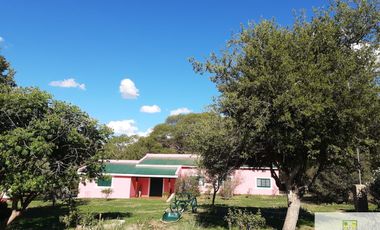 Casa en alquiler temporario de 3 dormitorios c/ cochera en Panaholma