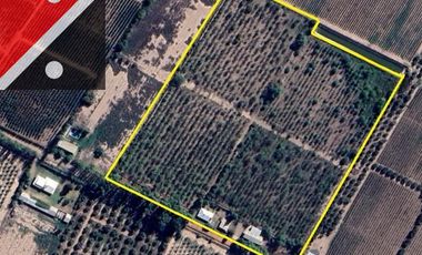 Terreno / Lote en venta de 50000m2 ubicado en Coquimbito