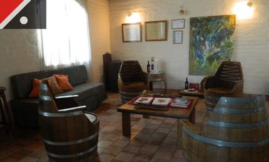 Terreno / Lote en venta de 50000m2 ubicado en Coquimbito