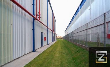 Amplia Nave Industrial En Alquiler, Polo Industrial Ezeiza