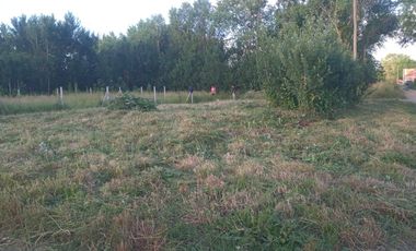 Terreno / Lote en venta de 210m2 ubicado en Felix U Camet