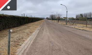 Terreno / Lote en venta de 1347m2 ubicado en Luján de Cuyo