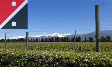 Terreno / Lote en venta de 1347m2 ubicado en Luján de Cuyo
