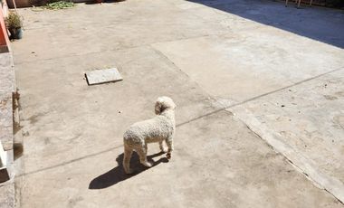 Casa en venta de 2 dormitorios c/ cochera y galpón en González Catán