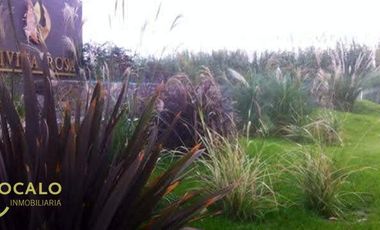 Terreno / Lote en venta de 1000m2 ubicado en Los Corralitos