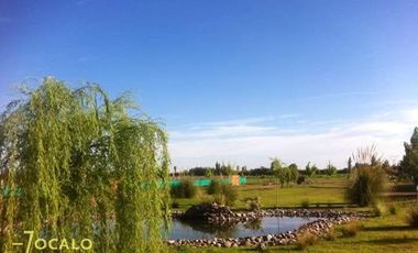 Terreno / Lote en venta de 1000m2 ubicado en Los Corralitos