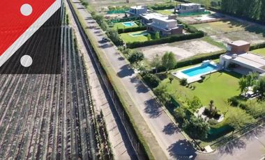 Terreno / Lote en venta de 1182m2 ubicado en Luján de Cuyo