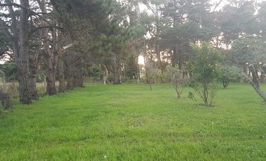 Exclusiva Fracción de 6 Hectáreas en Sierra de Los Padres
