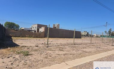 Terreno / Lote en venta de 335m2 ubicado en Coquimbito