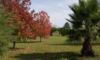 CLUB DE CAMPO POSADA DE LOS LAGOS - LOTE 998M2 - Ruta 2 km 72