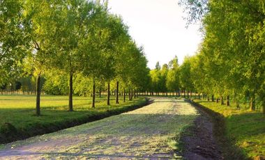 CLUB DE CAMPO POSADA DE LOS LAGOS - LOTE 998M2 - Ruta 2 km 72
