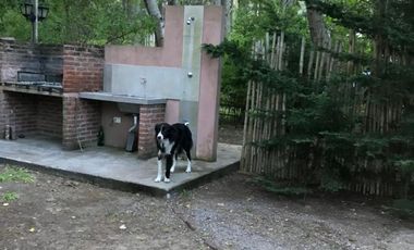 Dúplex en venta de 2 dormitorios c/ cochera en La Lucila del Mar
