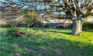 SE VENDE HERMOSO CAMPO CON AMPLIA CASA DE 2 PISOS EN PURRANQUE