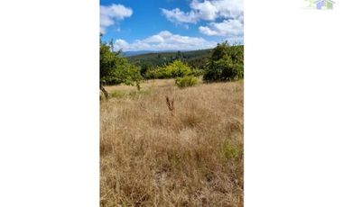 SE VENDE HERMOSO CAMPO CON AMPLIA CASA DE 2 PISOS EN PURRANQUE