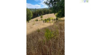 SE VENDE HERMOSO CAMPO CON AMPLIA CASA DE 2 PISOS EN PURRANQUE
