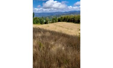 SE VENDE HERMOSO CAMPO CON AMPLIA CASA DE 2 PISOS EN PURRANQUE