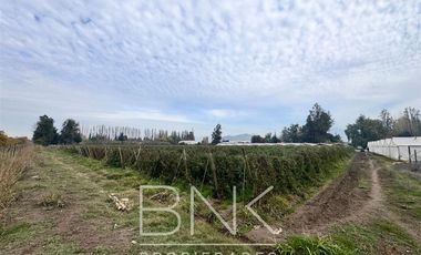 Sitio en Venta en El Barrancón/Lo Herrera