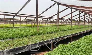 Sitio en Venta en El Barrancón/Lo Herrera