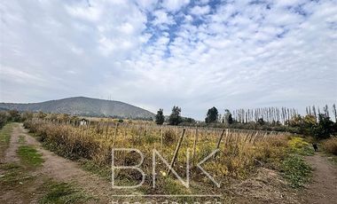 Sitio en Venta en El Barrancón/Lo Herrera